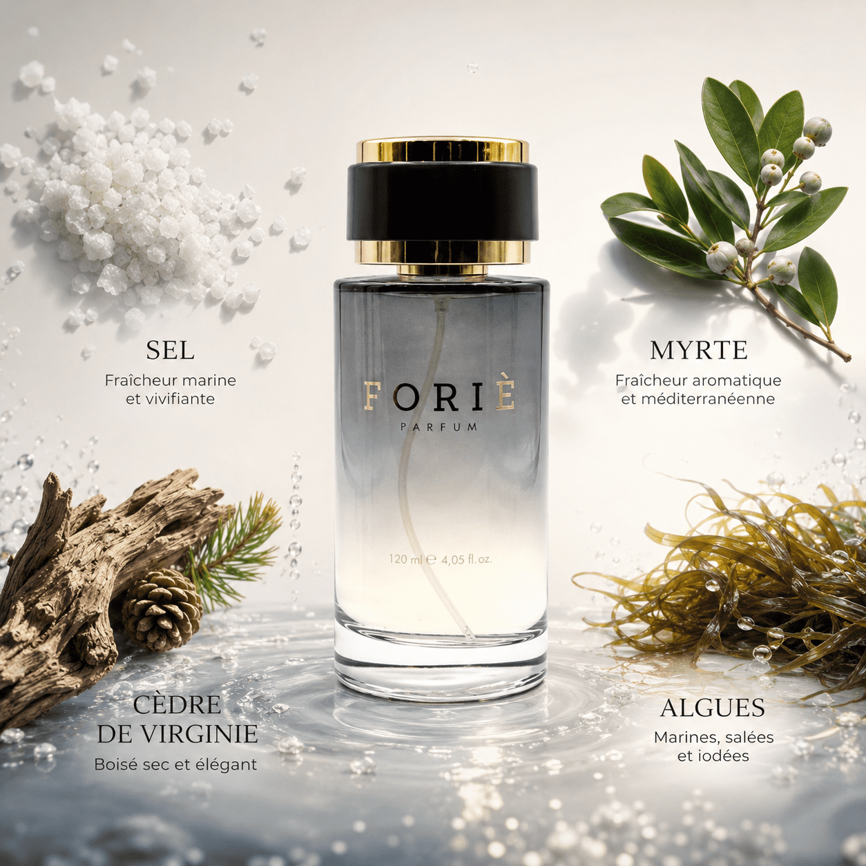 Parfum unisexe foriè fr501 120 ml